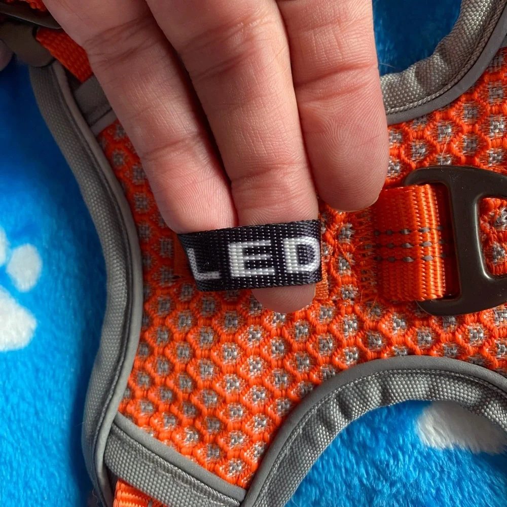 Size Medium Harness